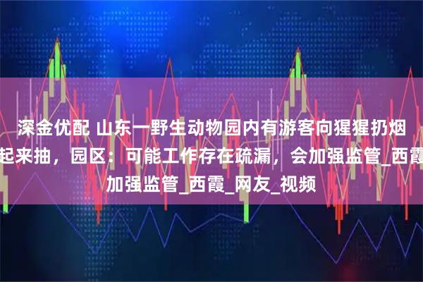 深金优配 山东一野生动物园内有游客向猩猩扔烟头，猩猩捡起来抽，园区：可能工作存在疏漏，会加强监管_西霞_网友_视频