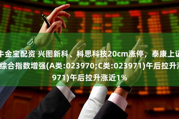 牛金宝配资 兴图新科、科思科技20cm涨停，泰康上证科创板综合指数增强(A类:023970;C类:023971)午后拉升涨近1%
